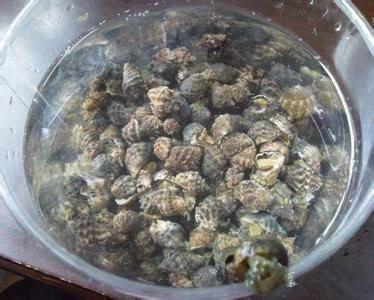史上最全海鮮大全，以後不怕不認識海鮮了