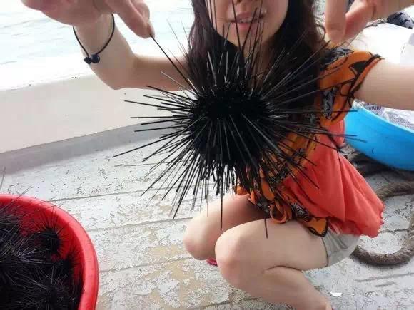 史上最全海鮮大全，以後不怕不認識海鮮了