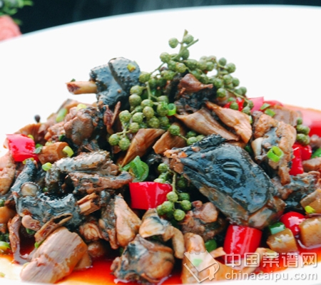 能夠幫助男性補血的食物