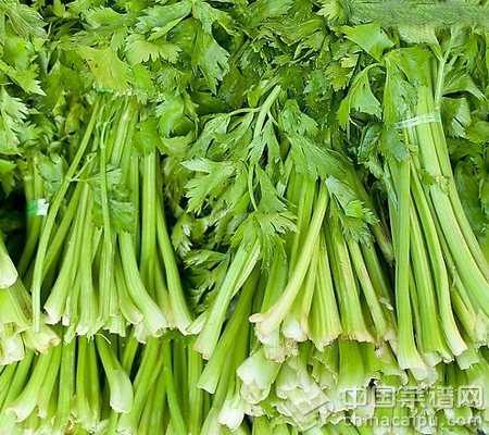 盤點降火食物 撲滅身體火氣