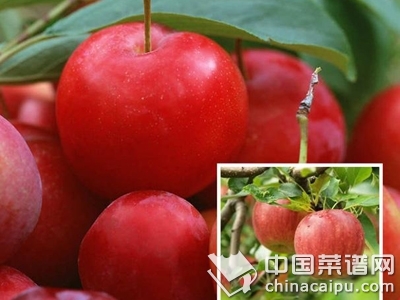 巧吃水果緩解身體疾病