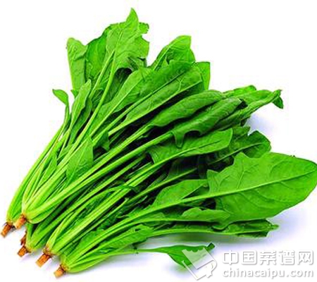 能夠排毒的食物