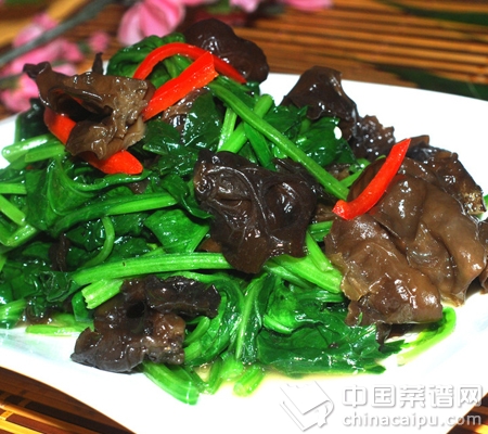 最滋養女人的10大食物