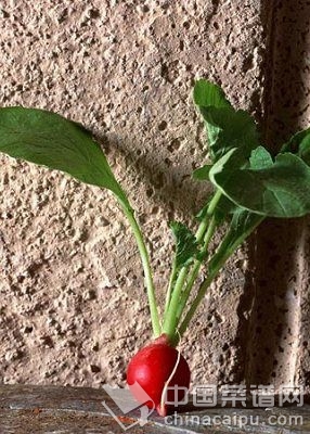 生吃洋蔥防心臟病