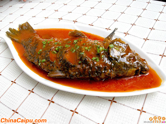 鯉魚.jpg