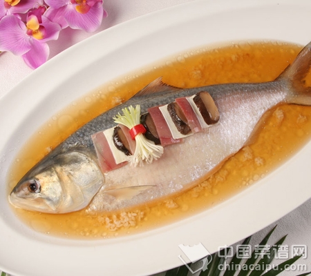 九個吃魚守則