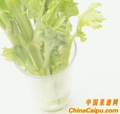 番茄瘦小腹白蘿蔔瘦腿
