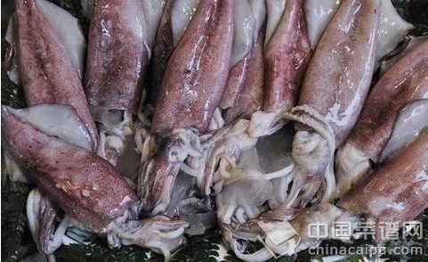 清洗魷魚小竅門