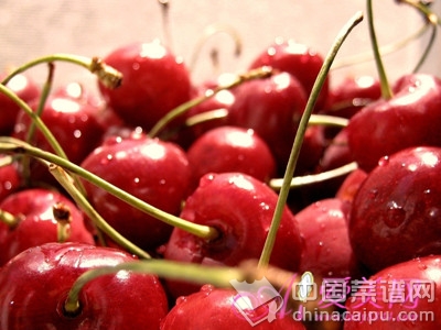  西蘭花能排毒 10種果蔬保健效果勝藥物 