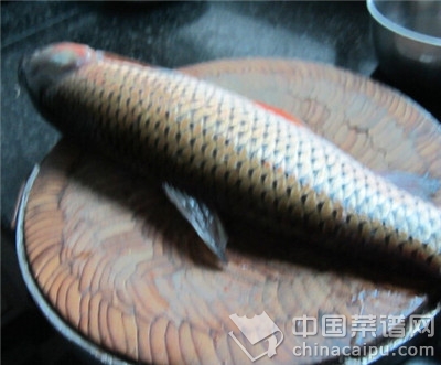 1_副本1.jpg