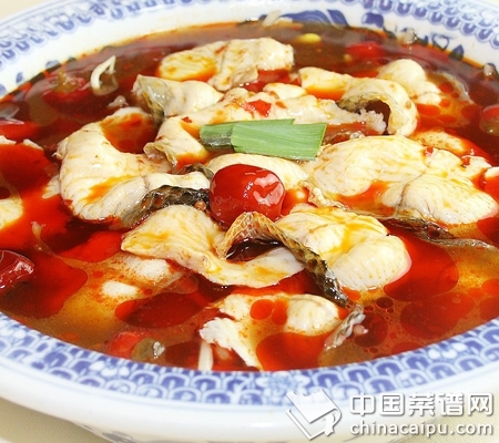 常見魚的食用搭配禁忌