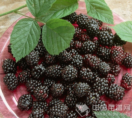 餐桌上的番茄醬等食物沒有營養嗎？