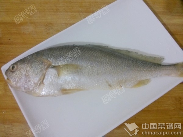 紅燒黃魚