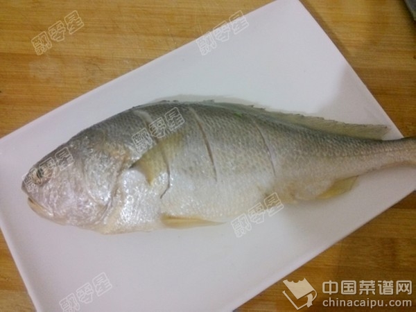 紅燒黃魚