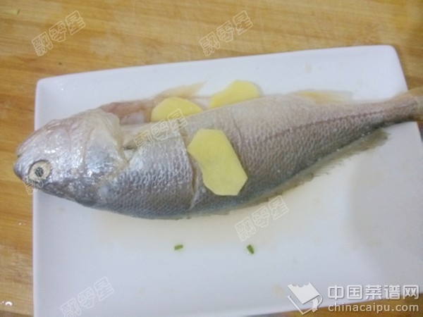 紅燒黃魚