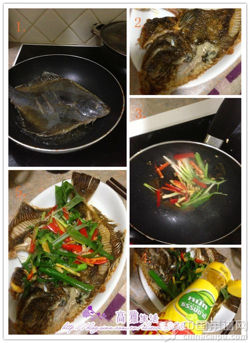油泡左口魚
