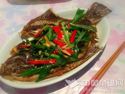 魚2.jpg