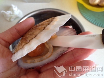 蒜蓉粉絲蒸扇貝