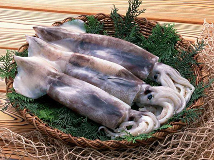 吃一口魷魚等於40口肥肉?