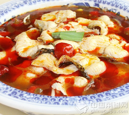 常見魚的食用搭配禁忌