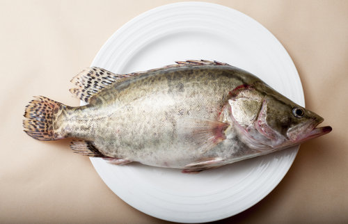 吃魚要忌口 吃8種魚千萬別搭這些食物