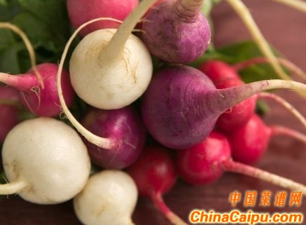 番茄瘦小腹白蘿蔔瘦腿