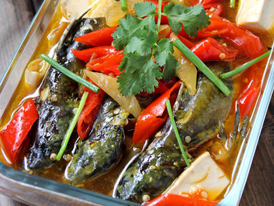 泡椒豆腐燜黃蜂魚