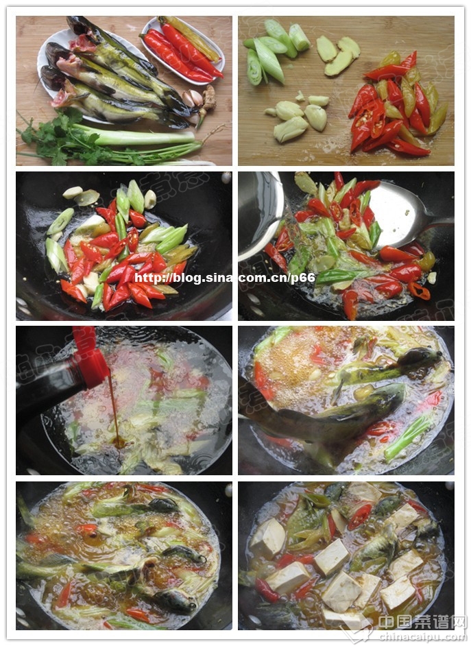 泡椒豆腐燜黃蜂魚