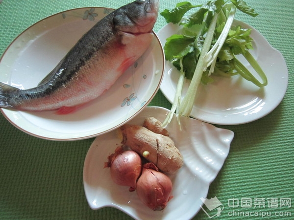 紅燒鱸魚