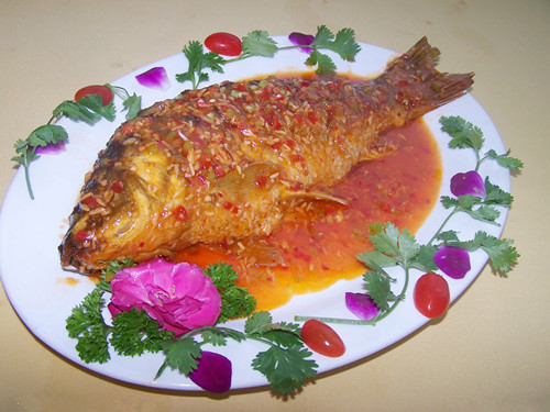 常見疾病鯉魚食療方