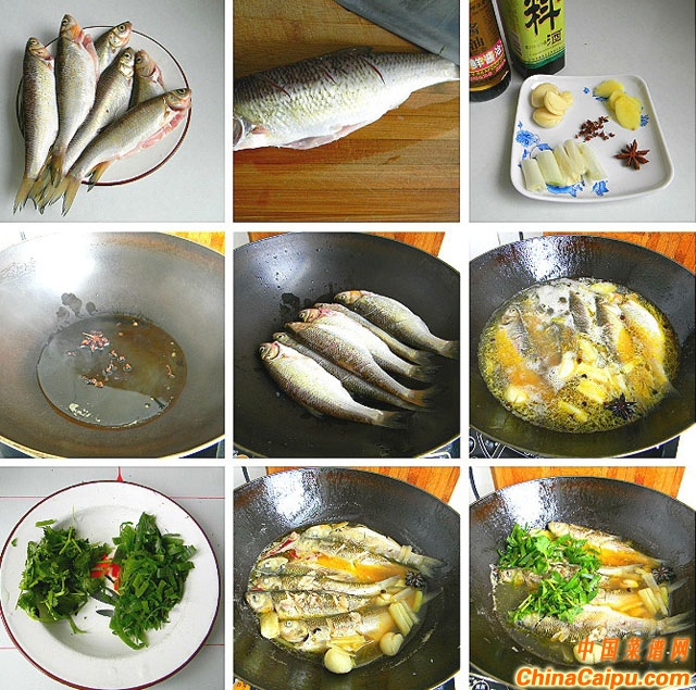燉燒華子魚