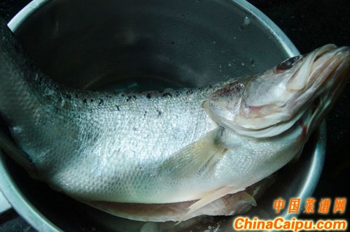 清蒸鱸魚