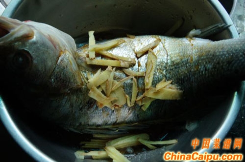 清蒸鱸魚