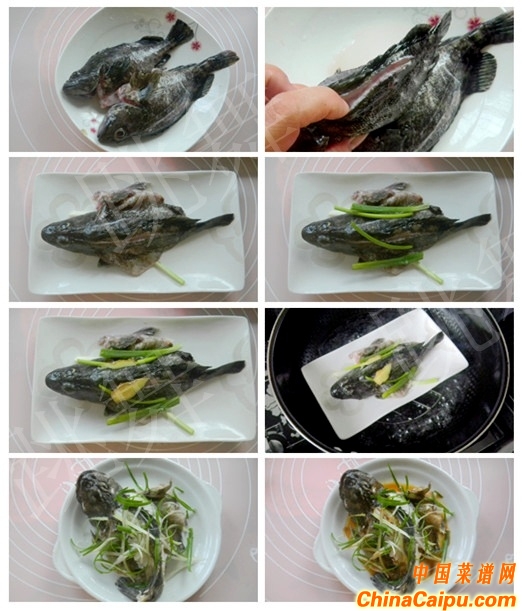清蒸石斑魚