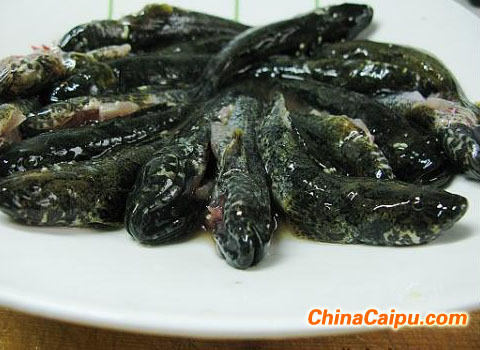清燉跳跳魚