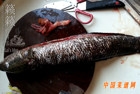 #百家千宴# <wbr>正月裡來美美地吃頓魚!【老豆腐燉黑魚】