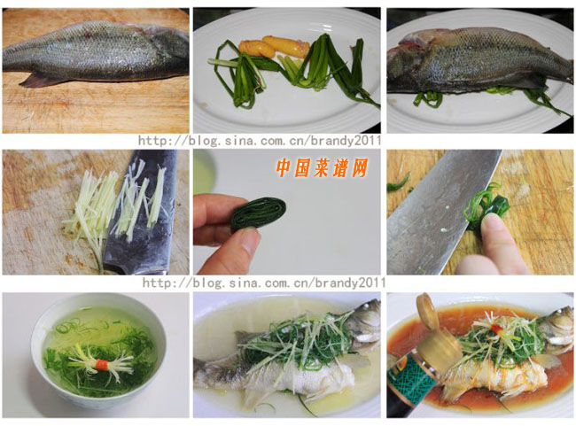 清蒸鱸魚