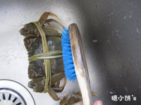 清蒸大閘蟹