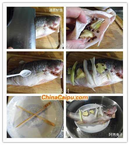 清蒸鱸魚