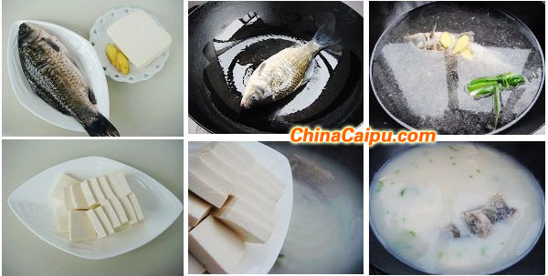 鯽魚豆腐湯