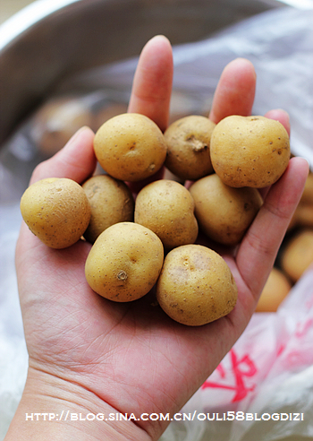 土豆仔燒脊骨