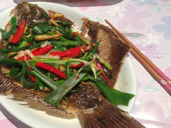 油泡左口魚