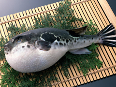 4種吃魚方式等於慢性自殺