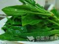 餐桌上6種超有效美容菜