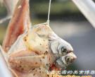 自製酒釀