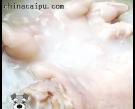 豬手湯