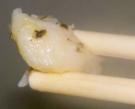 香龍利魚柳的做法
