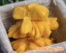 南瓜卷 菊花造型