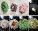 肉末豆角玉米麵包子